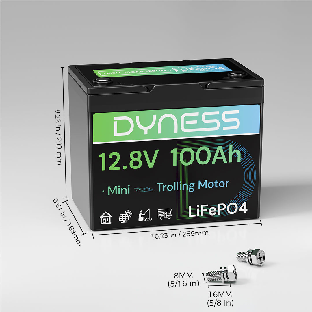 Dynesspower 12V 100Ah Group 24 LiFePO4 Lithium Deep Cycle Batterie