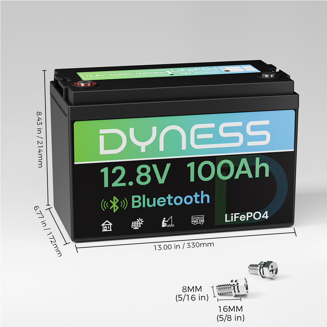 Dynesspower  12V 100Ah Lithium Batterie mit Bluetooth