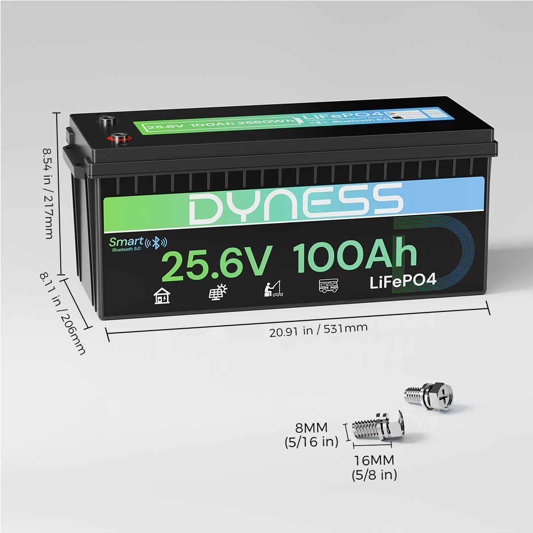 Dynesspower 24V 100Ah LiFePO4-Batterie mit Bluetooth